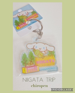 TI~Niigata