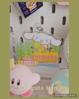 TI~Niigata