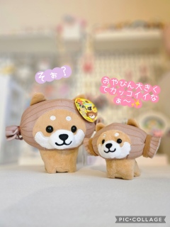 ̂т🐕💕