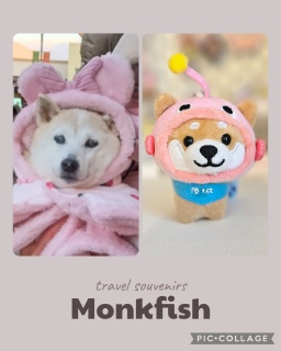 񂱂񂱂🐕💕