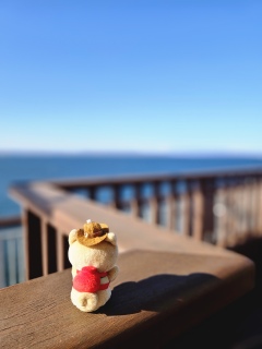 �~�̉���������T��iN�[�������A