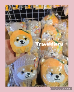 �~�̉���☀️🚗³₃������T��🐕 iN�[�������J