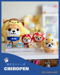 New�����o�[🐕💕