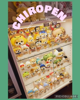 ⋆⸜ɴᴇᴡ⸝⋆���ް����🏢🐕