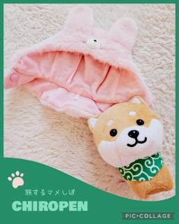 ���}��POPUP♡�w���i🐕 💕