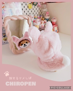 ���}��POPUP♡�w���i🐕🐰
