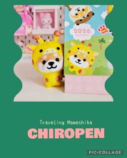 ���}��POPUP♡�w���i🐕💕