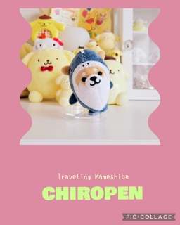 ���}��POPUP♡�w���i🐕💕