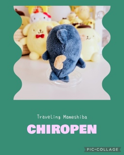 ���}��POPUP♡�w���i🐕💕