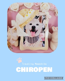 �ǂ��̂���l�ł��傤���H