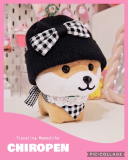 ������}������💕