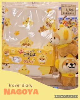 🌸�Ԃ�肿��؂�🐕💕���É�🏯�ɐ�⛩️���H🌊3��4���̏t�̗�����T���B