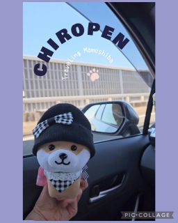 🌸�Ԃ�肿��؂�🐕💕���É�🏯�ɐ�⛩️���H🌊3��4���̏t�̗�����T���D