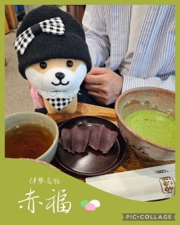 🌸�Ԃ�肿��؂�🐕💕���É�🏯�ɐ�⛩️���H🌊3��4���̏t�̗�����T���H