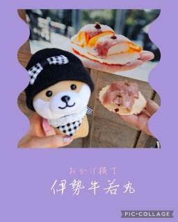 🌸�Ԃ�肿��؂�🐕💕���É�🏯�ɐ�⛩️���H🌊3��4���̏t�̗�����T���I