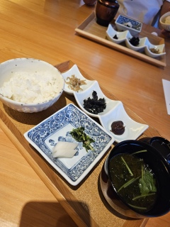 🌸�Ԃ�肿��؂�🐕💕���É�🏯�ɐ�⛩️���H🌊3��4���̏t�̗�����T��㉓