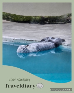 🌸�Ԃ�肿��؂�🐕💕���É�🏯�ɐ�⛩️���H🌊3��4���̏t�̗�����T��㉞