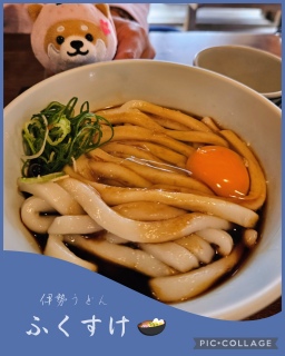 🌸�Ԃ�肿��؂�🐕💕���É�🏯�ɐ�⛩️���H🌊3��4���̏t�̗�����T��㊳