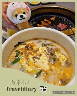 🌸�Ԃ�肿��؂�🐕💕���É�🏯�ɐ�⛩️���H🌊3��4���̏t�̗�����T��㊵