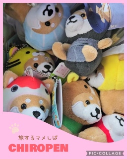 🌸�Ԃ�肿��؂�🐕💕���É�🏯�ɐ�⛩️���H🌊3��4���̏t�̗�����T��㊸