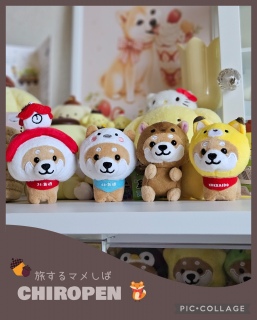 �ۂ������ǂ��[⏰🐦🐿🦊