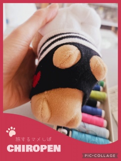 ����🐕👕💕